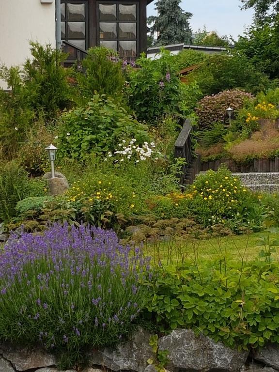 Claudias Wohlfühlpension Willingen  Bagian luar foto
